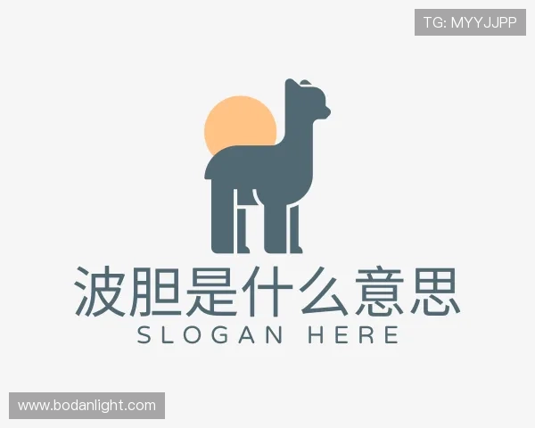 介绍波胆和大小球